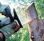 Best Utility Line Clearance  in Holualoa, HI
